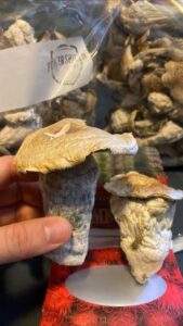 kjøp psilocybin sopp På nett i Norge